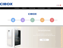 Tablet Screenshot of ciboxcorp.com